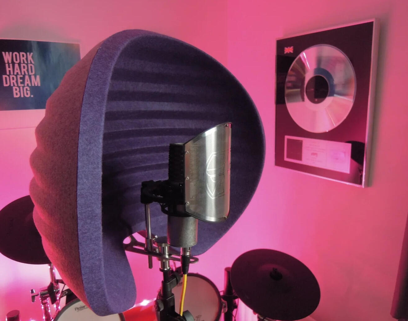 ASTON MICROPHONES ARTIST